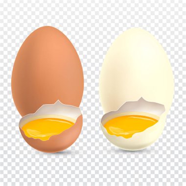 Şeffaf arka planda yumurta sarısı olan iki tür gerçekçi tavuk yumurtası.