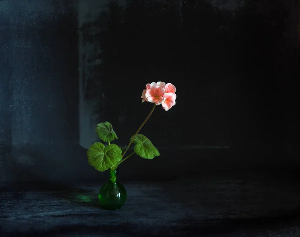 Minimalisme Dans Nature Morte — Photo