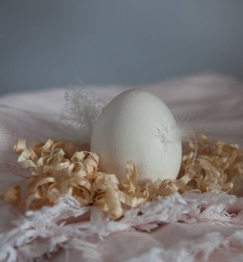 yumurta ile natürmort. tavuk yumurta.