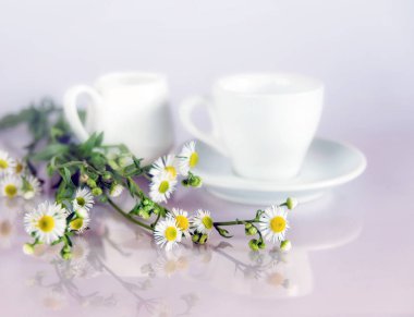 Papatya ile natürmort. Sevinç ve zevk alan çiçek getirmek.