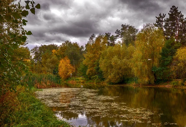 landscape photography. it is a pleasure to relax on the shore of a quiet river.