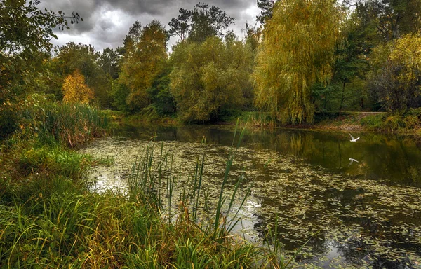 Fotografování Krajiny Potěšením Relaxovat Břehu Klidné Řeky — Stock fotografie