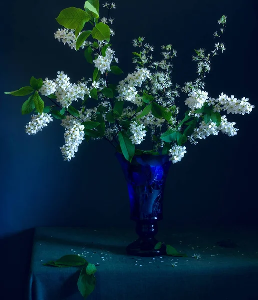 Bodegón Con Flores Vinage Cerezo Pájaro — Foto de Stock