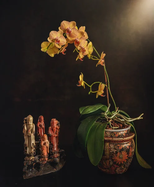 Natura Morta Con Orchidee Fiore Statuette Onice Vintage — Foto Stock