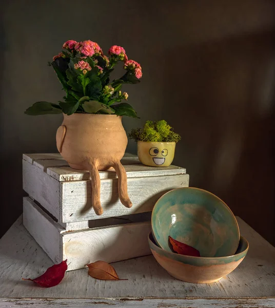 Stillleben Mit Kalanchoe Blumen Dekorativem Moos Und Keramikschalen Jahrgang — Stockfoto