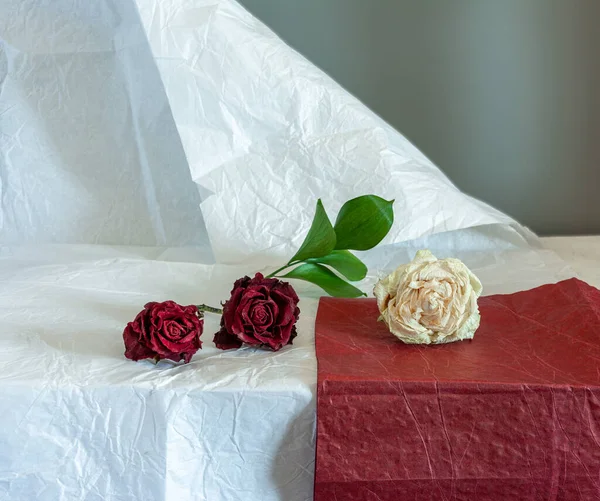 Still life with roses lying on a paper. Vintage. Minimalism.