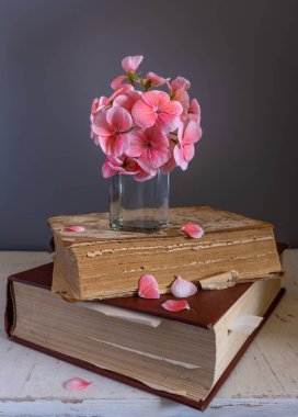 Sardunya çiçekleri ve eski kitaplarla dolu bir hayat. Eski model. Minimalizm.