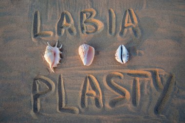 vagina-shaped seashell on the background of the inscription labiaplasty. female health concept clipart