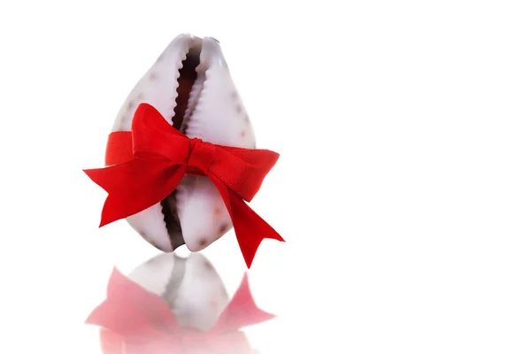 A seashell in the shape of a vagina tied with a red bow. The concept of female health and beauty.