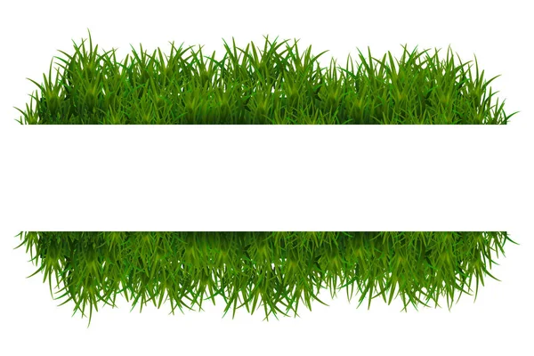 Green grass isolated on white background — Stock Vector