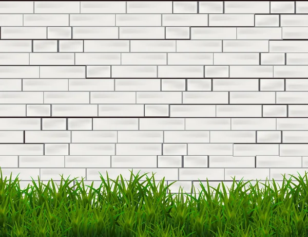 Green Grass Isolated on white Brick Wall  Background. — Stock Vector