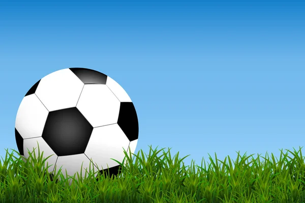 Fútbol, balón de fútbol aislado en el campo de hierba y fondo azul con espacio para su texto — Archivo Imágenes Vectoriales
