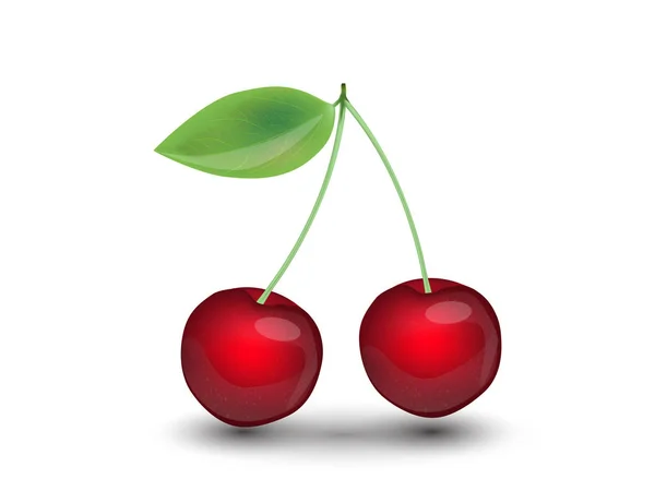 Realistické Cherry izolovaných na bílém pozadí. — Stockový vektor
