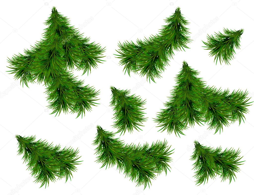 Realistic Set of Green Fir Branches. Christmas tree branches Isolated on white Background for Greeting Card, Flyers, Banners