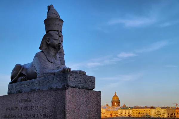 Esfinge en San Petersburgo — Foto de Stock