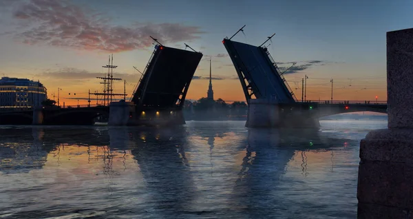 Birzhevoy Bridge en Peter en Paulus kathedraal in Sint-Petersburg — Stockfoto