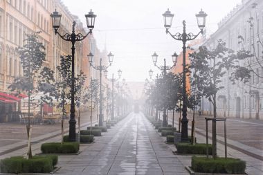 Morning fog in St. Petersburg clipart