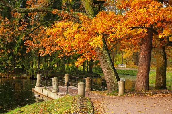 Otoño en el Parque Catherine en Pushkin — Foto de Stock