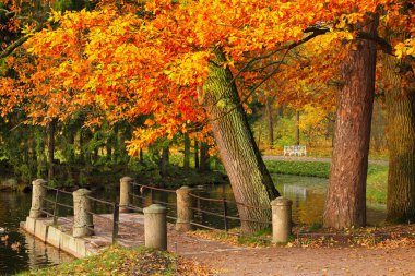 Sonbahar Puşkin Catherine parkında