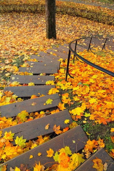 Treppe im Park in heruntergefallenen goldenen Blättern — Stockfoto