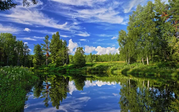 Lago bosque de verano — Foto de Stock