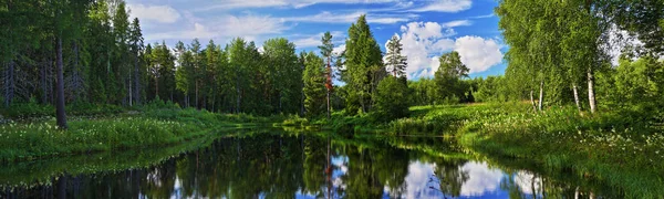 Панорама лісового озера — стокове фото