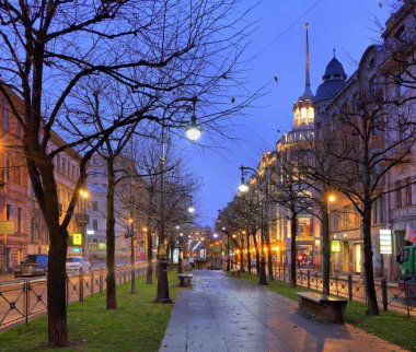 St. Petersburg, Rusya - 04 Kasım 2017 Bolshaya Konyu Panoraması