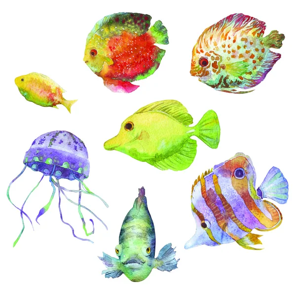 Diversi tipi di pesci e meduse illustrazione — Foto Stock