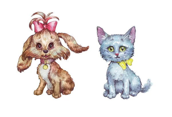 Kitty et chien isolé peint à la main aquarelle illustration — Photo