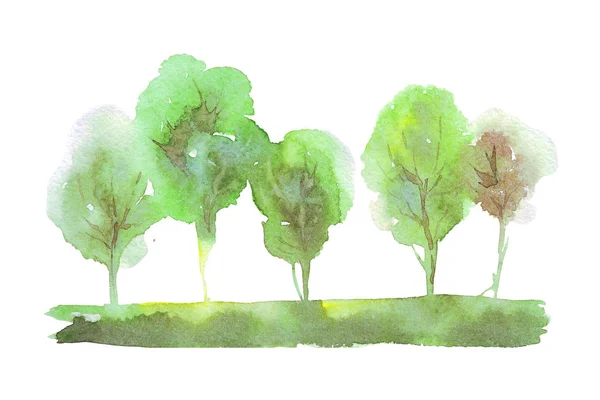Árvores verdes isoladas — Fotografia de Stock