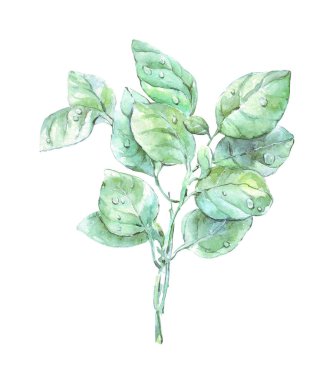 Bazilika demeti suluboya sanat