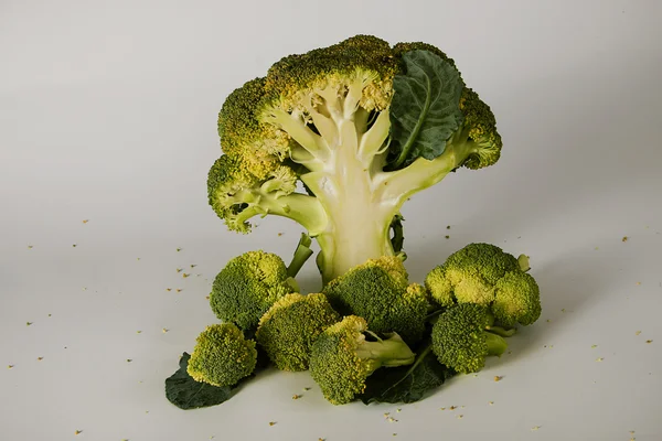 Brócoli fresco con hojas — Foto de Stock
