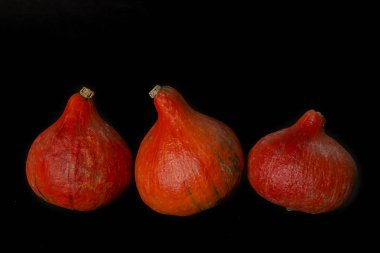 Cadılar Bayramı için dekoratif kabaklar