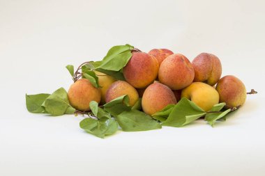 Beyaz arka plan üzerinde yaprakları ile taze kayısı