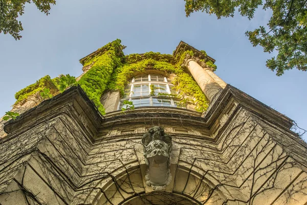 Vajdahunyad Castle Varosliget parkta, Budapeşte, Macaristan