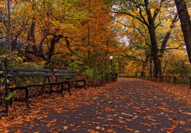 Sonbahar sonbahar Central Park New York City yaprakları