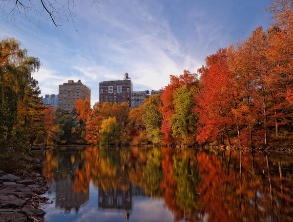 Najaar herfst gebladerte in Central Park New York City — Stockfoto