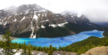 Thawing Peyto Lake in the Spring clipart