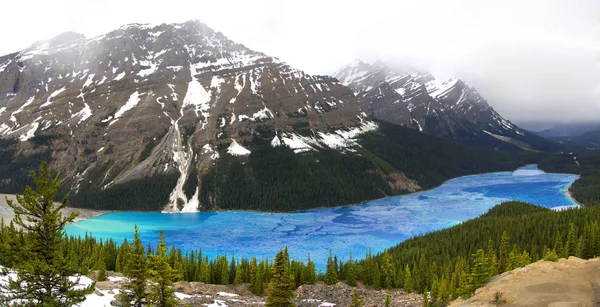 Descongelamento Peyto Lake na primavera — Fotografia de Stock