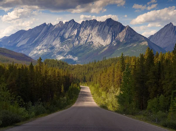 Dirigindo através do Parque Nacional Jasper em direção às Montanhas Rochosas — Fotografia de Stock
