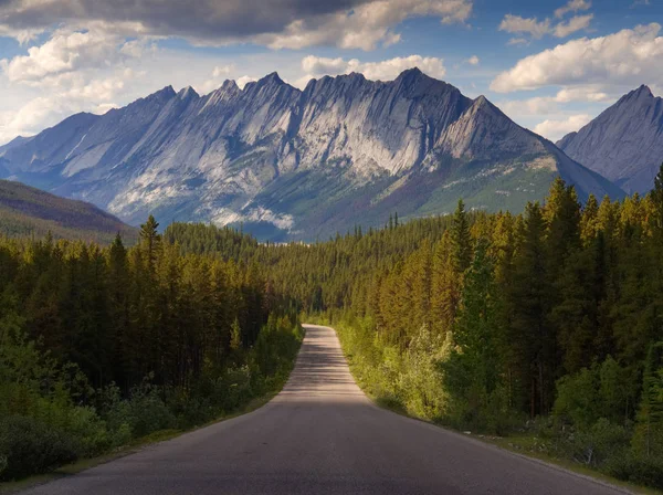 Rijden door het Nationaal Park Jasper richting de Rocky Mountains Stockfoto