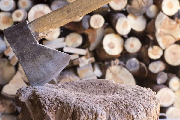 Cutting Wood Old Tree Trunk — Stock Photo, Image