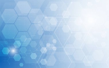 Altıgen yapısı ağ