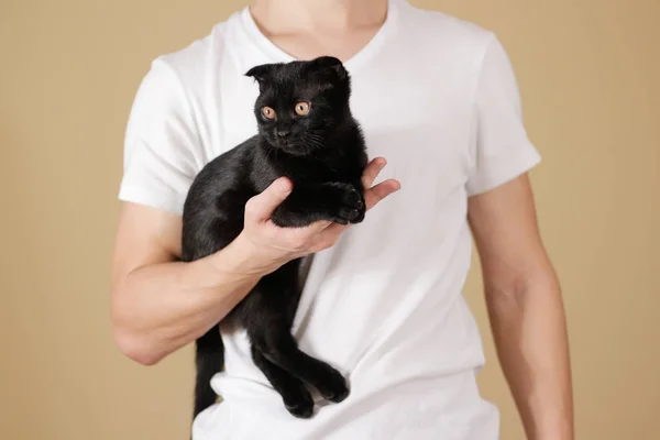 Fiatal srác egy fehér inget, egy fekete kiscicák macska gazdaság — Stock Fotó