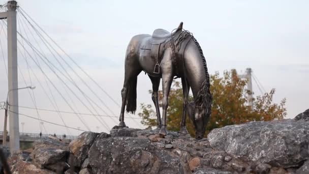 Monumento ao cavalo curva a cabeça em um parque no fundo da ponte . — Vídeo de Stock