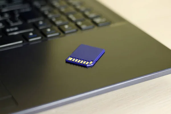SD-minneskort. Blå är på den bärbara datorn. — Stockfoto