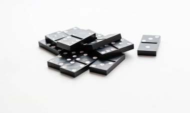 Domino küme içinde oturur. Beyaz bir arka plan üzerinde izole. Portre