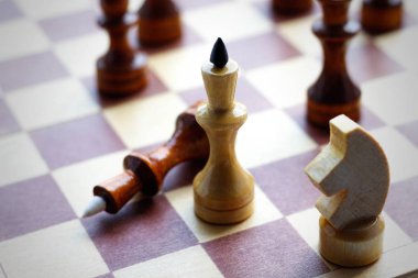 Ahşap Satranç satranç tahtası seti. Satranç. Siyah ve beyaz. Portre