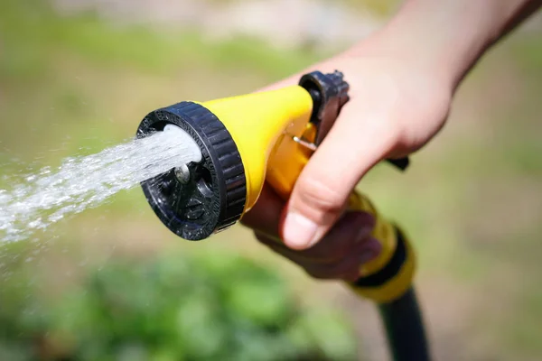 Male hand watering a green plant with water from the hose. Water — Stock Photo, Image