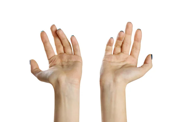 Two female hands. Isolated on white background. The palm closeup — Stock Photo, Image